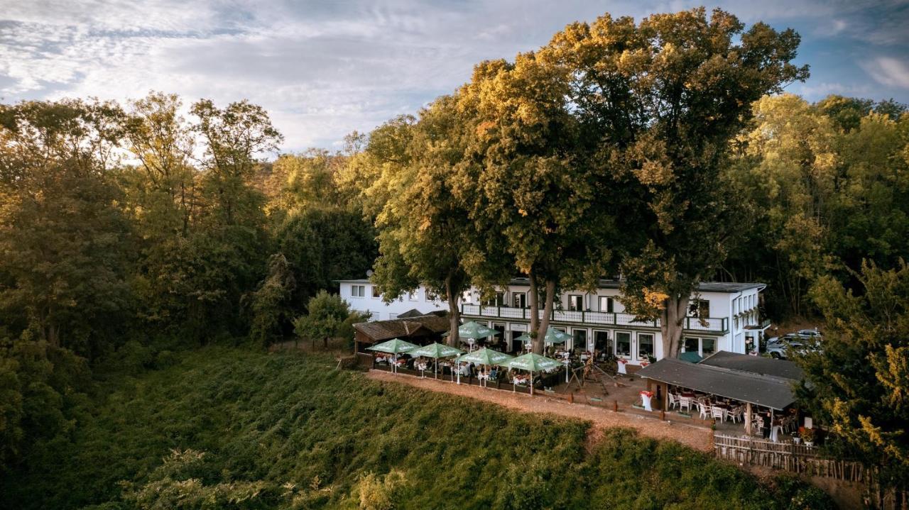 Hotel Hasenjaeger Айнбек Екстер'єр фото